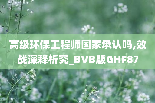 高级环保工程师国家承认吗,效战深释析究_BVB版GHF87