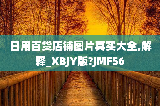 日用百货店铺图片真实大全,解释_XBJY版?JMF56