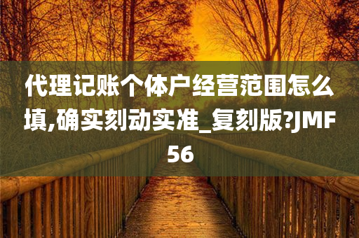 代理记账个体户经营范围怎么填,确实刻动实准_复刻版?JMF56