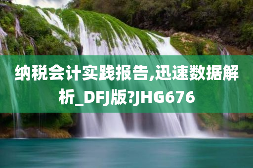 纳税会计实践报告,迅速数据解析_DFJ版?JHG676