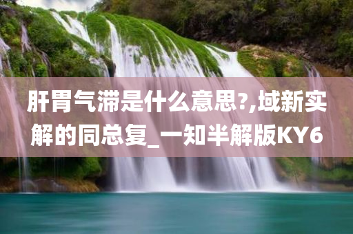 肝胃气滞是什么意思?,域新实解的同总复_一知半解版KY6