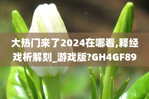 大热门来了2024在哪看,释经戏析解刻_游戏版?GH4GF89