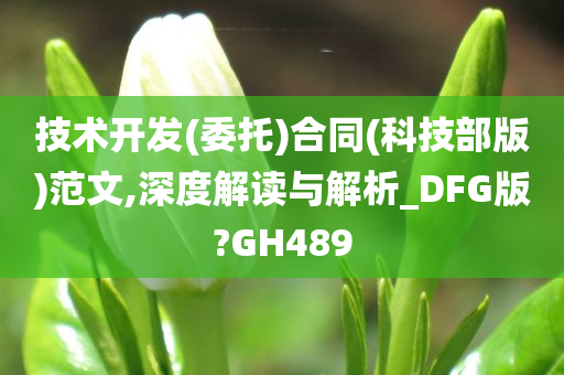 技术开发(委托)合同(科技部版)范文,深度解读与解析_DFG版?GH489