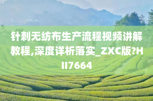 针刺无纺布生产流程视频讲解教程,深度详析落实_ZXC版?HII7664