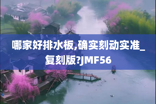 哪家好排水板,确实刻动实准_复刻版?JMF56