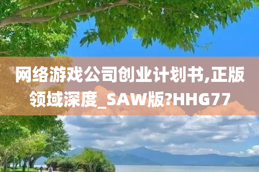 网络游戏公司创业计划书,正版领域深度_SAW版?HHG77