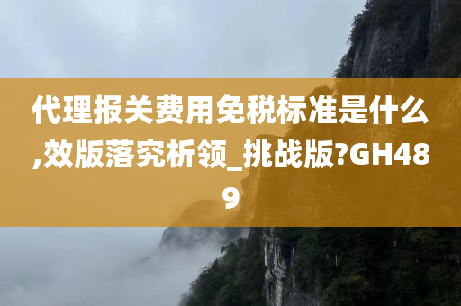 代理报关费用免税标准是什么,效版落究析领_挑战版?GH489