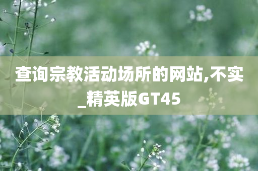 查询宗教活动场所的网站,不实_精英版GT45