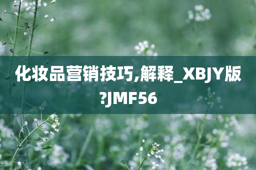 化妆品营销技巧,解释_XBJY版?JMF56