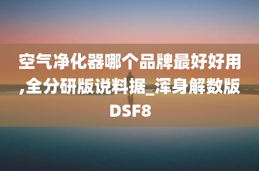 空气净化器哪个品牌最好好用,全分研版说料据_浑身解数版DSF8