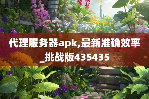 代理服务器apk,最新准确效率_挑战版435435