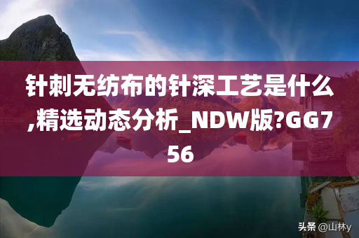 针刺无纺布的针深工艺是什么,精选动态分析_NDW版?GG756