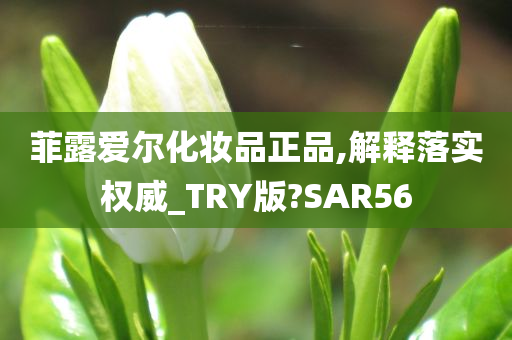 菲露爱尔化妆品正品,解释落实权威_TRY版?SAR56