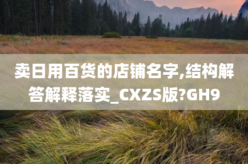 卖日用百货的店铺名字,结构解答解释落实_CXZS版?GH9