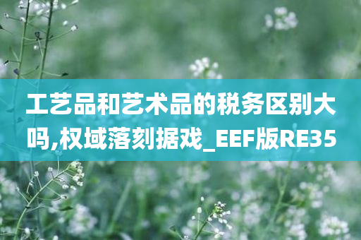 工艺品和艺术品的税务区别大吗,权域落刻据戏_EEF版RE35