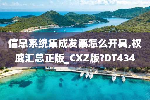 信息系统集成发票怎么开具,权威汇总正版_CXZ版?DT434