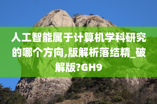 人工智能属于计算机学科研究的哪个方向,版解析落结精_破解版?GH9