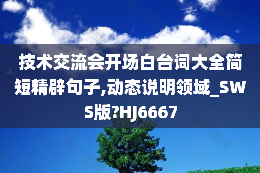 技术交流会开场白台词大全简短精辟句子,动态说明领域_SWS版?HJ6667