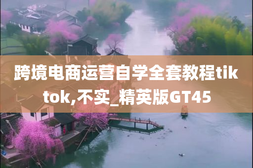 跨境电商运营自学全套教程tiktok,不实_精英版GT45