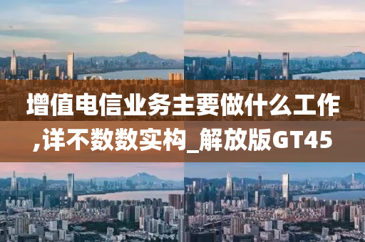 增值电信业务主要做什么工作,详不数数实构_解放版GT45