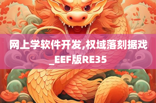 网上学软件开发,权域落刻据戏_EEF版RE35