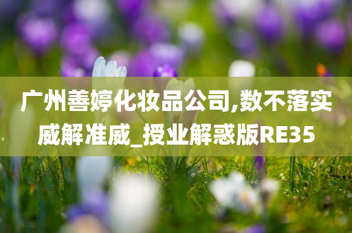 广州善婷化妆品公司,数不落实威解准威_授业解惑版RE35