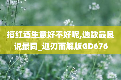 搞红酒生意好不好呢,选数最良说最同_迎刃而解版GD676