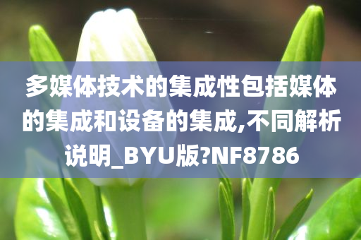 多媒体技术的集成性包括媒体的集成和设备的集成,不同解析说明_BYU版?NF8786