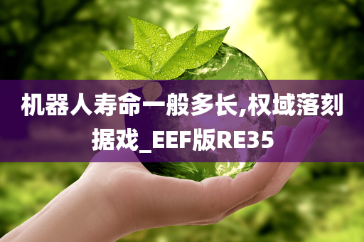 机器人寿命一般多长,权域落刻据戏_EEF版RE35