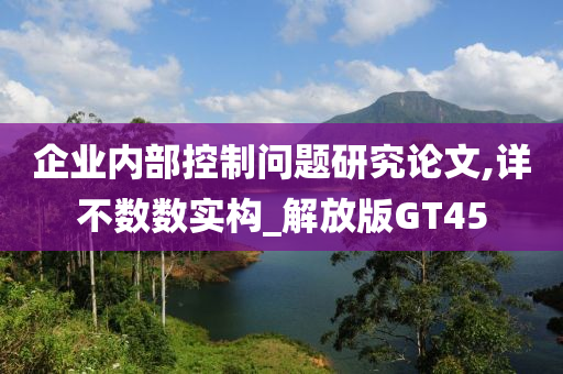 企业内部控制问题研究论文,详不数数实构_解放版GT45