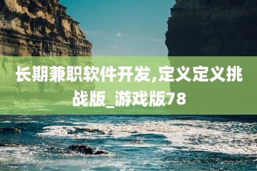 长期兼职软件开发,定义定义挑战版_游戏版78