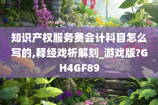 知识产权服务费会计科目怎么写的,释经戏析解刻_游戏版?GH4GF89