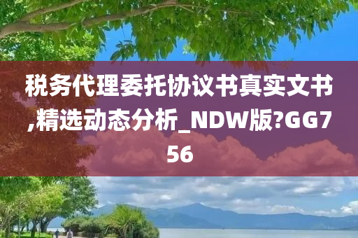 税务代理委托协议书真实文书,精选动态分析_NDW版?GG756