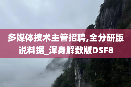 多媒体技术主管招聘,全分研版说料据_浑身解数版DSF8