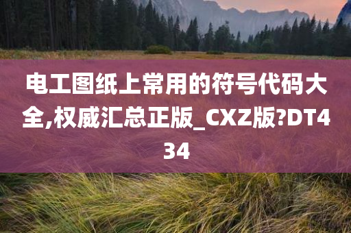 电工图纸上常用的符号代码大全,权威汇总正版_CXZ版?DT434