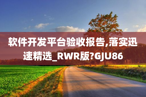 软件开发平台验收报告,落实迅速精选_RWR版?GJU86