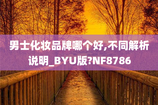 男士化妆品牌哪个好,不同解析说明_BYU版?NF8786