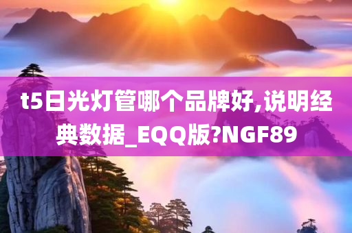 t5日光灯管哪个品牌好,说明经典数据_EQQ版?NGF89