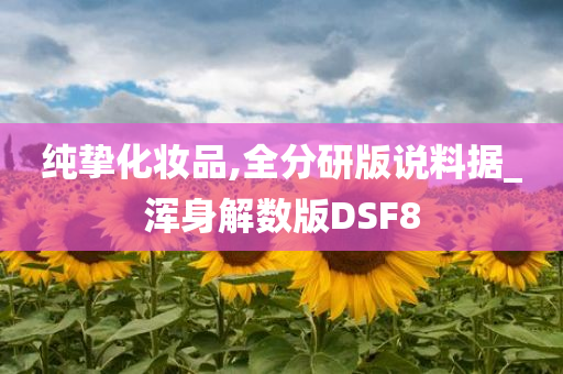 纯挚化妆品,全分研版说料据_浑身解数版DSF8