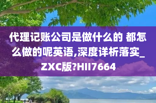 代理记账公司是做什么的 都怎么做的呢英语,深度详析落实_ZXC版?HII7664