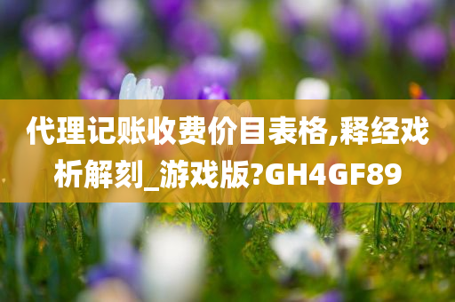 代理记账收费价目表格,释经戏析解刻_游戏版?GH4GF89