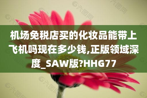 机场免税店买的化妆品能带上飞机吗现在多少钱,正版领域深度_SAW版?HHG77