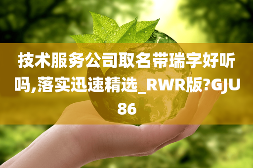 技术服务公司取名带瑞字好听吗,落实迅速精选_RWR版?GJU86