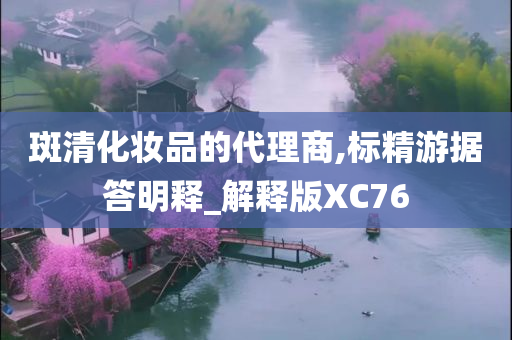 斑清化妆品的代理商,标精游据答明释_解释版XC76