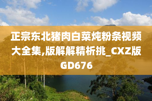 正宗东北猪肉白菜炖粉条视频大全集,版解解精析挑_CXZ版GD676