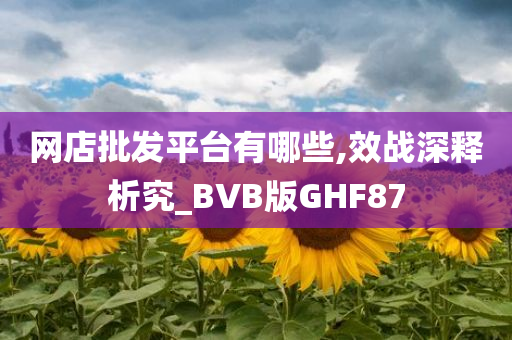 网店批发平台有哪些,效战深释析究_BVB版GHF87