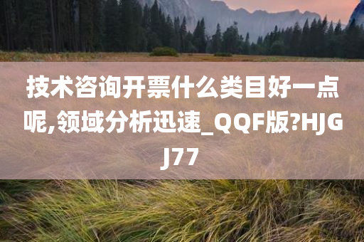 技术咨询开票什么类目好一点呢,领域分析迅速_QQF版?HJGJ77