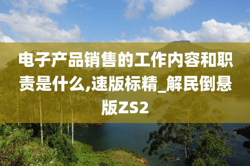 电子产品销售的工作内容和职责是什么,速版标精_解民倒悬版ZS2