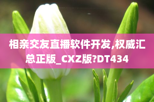 相亲交友直播软件开发,权威汇总正版_CXZ版?DT434