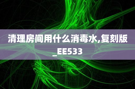 清理房间用什么消毒水,复刻版_EE533